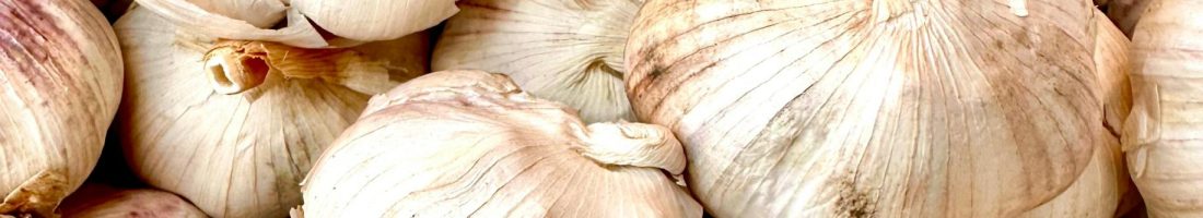 Abundant display of fresh garlic bulbs in Basora's market.